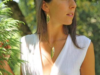 EVERGREEN COLLECTION