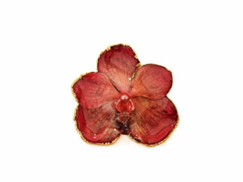 Orchidea Grande